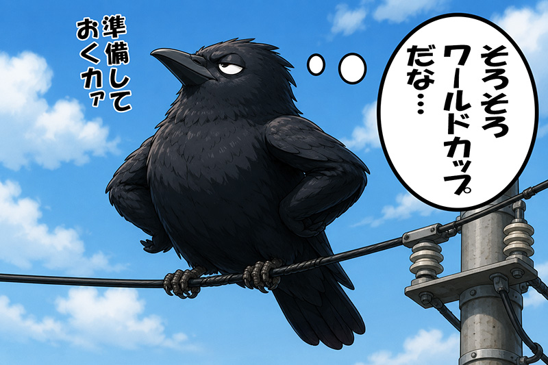 W杯を楽しみにしているカラス